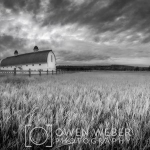 D.H. Day Farm Barn Print / Glen Arbor Michigan / Michigan Landscape Photography / Black and White Photography / Sleeping Bear Dunes /