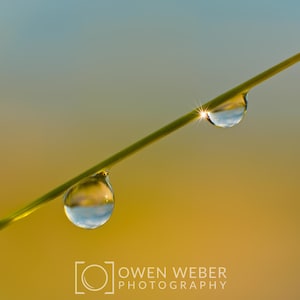 May include: Two water droplets hang from a blade of grass, reflecting the sky and sunlight. The background is a soft gradient of blue and yellow.
