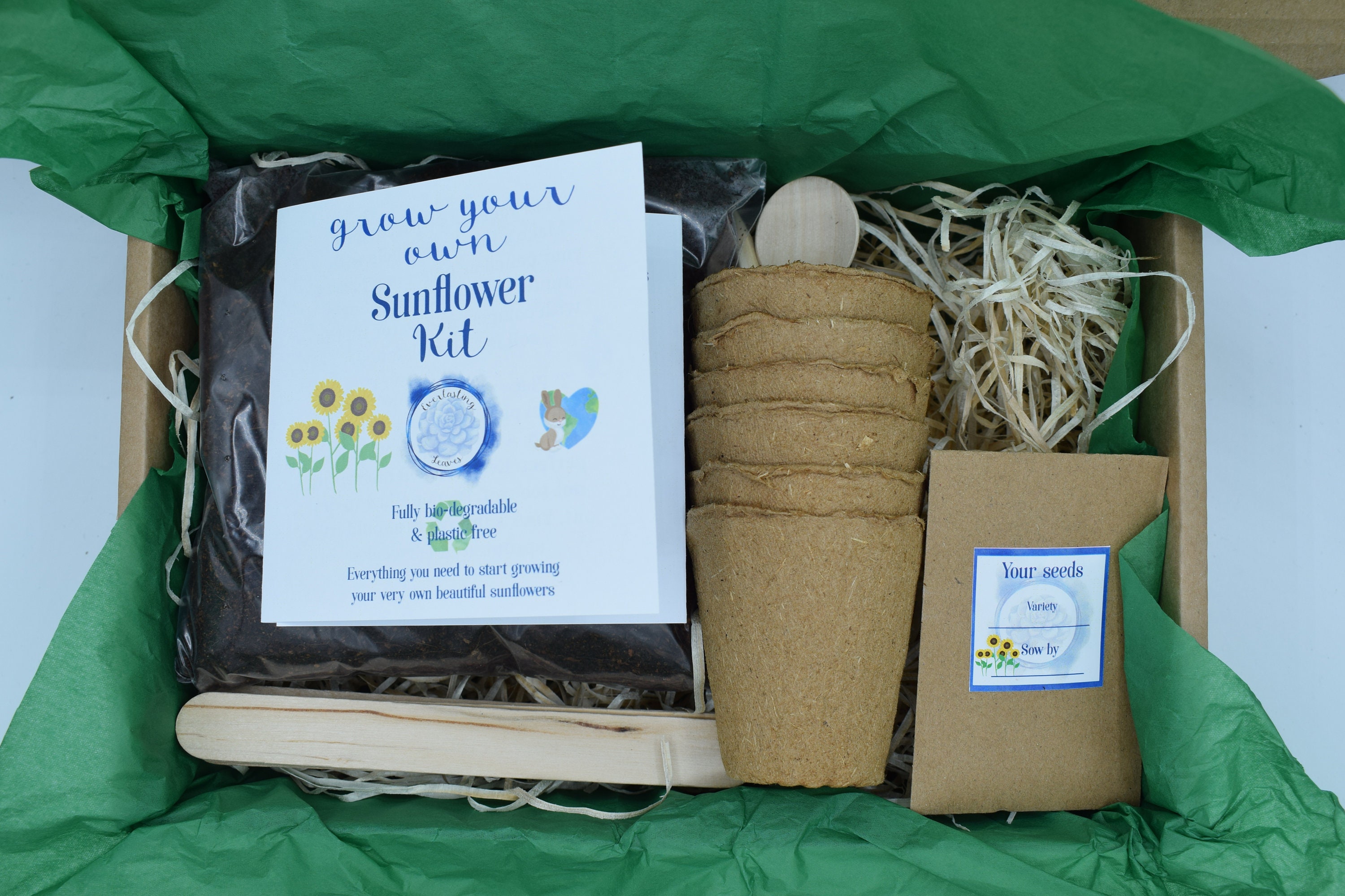 Sunflower Grow Kit. Great for Kids Sunflower Growing Etsy