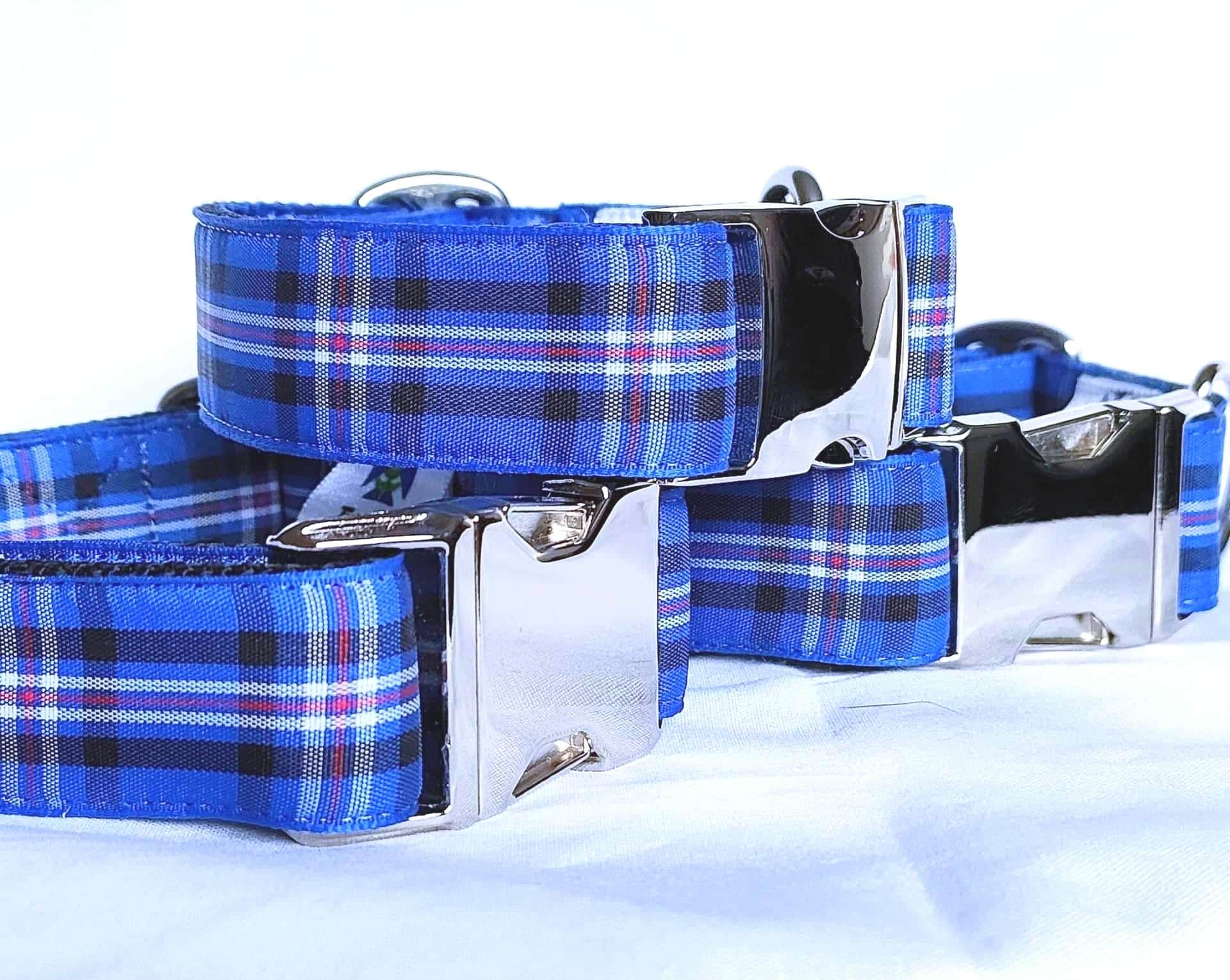 Rangers fc dog collar hotsell