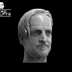 May include: A detailed, gray, sculpted bust of a man with short, wavy hair. The bust is a realistic depiction of a person's head and shoulders.