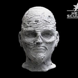 Op de afbeelding: Een gedetailleerde, grijze sculptuur van een menselijk hoofd met een verweerd, getextureerd oppervlak. Het gezicht heeft zichtbare rimpels en blootliggende plekken, wat duidt op een vervallen of verouderd uiterlijk. De tekst "HEAD SCULPTS" staat in het wit.