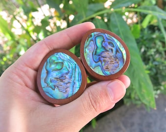 Abalone/Blood Wood Oval Teardrop Plugs 12mm, 9/16(14mm), 5/8(16mm), 3/4(19mm), 7/8(22mm), 1" (25mm) to 3"