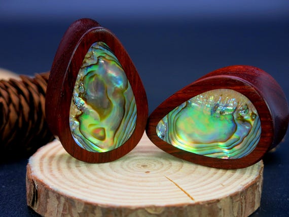 Ear Plugs Tappi Auricolari In Silicone Protettivi 2 Pezzi