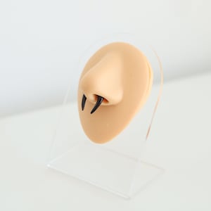 May include: A close-up of a fake nose with two black fangs attached to it. The nose is on a clear plastic stand.