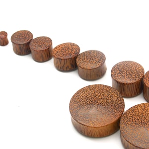 May include: A selection of brown wooden ear plugs in different sizes, set against a white backdrop. The plugs display a speckled design and a cylindrical form, highlighting the natural wood grain. Sizes vary from small to large, with the largest measuring approximately 2.5 cm in diameter.
