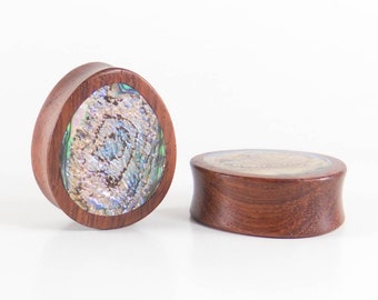 Abalone/Blood Wood Oval Teardrop Plugs 12mm, 9/16(14mm), 5/8(16mm), 3/4(19mm), 7/8(22mm), 1" (25mm) to 3"