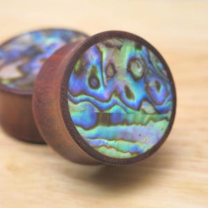 Handmade Abalone Shell Inlay Arang Wood Saddle Ear Plugs – Tunnels & Gauges – Tcmexpress