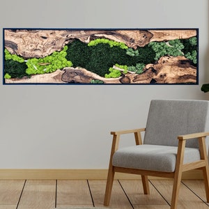 Rainbow Moss Wall Art Preserved Moss Wall Decor Living Room