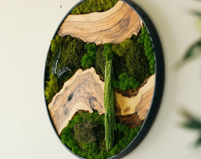 Custom Metal Framed Moss Art with Olive Wood: Maintenance-Free Plant Decor