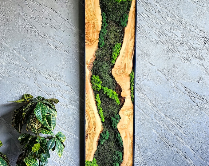 Moss Wall Decor - Olive Wood & Preserved Moss Wall Art, Bespoke Wall Hanging