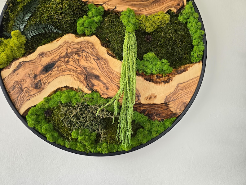 May include: Circular wall art featuring a natural moss and wood design. The artwork incorporates various shades of green moss, interspersed with sections of light brown wood. A long, trailing green plant hangs from the center, adding a vertical element.