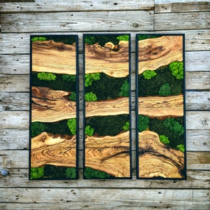 Moss Wall Decor, Moss Art Wall Decor, Olive Wood and Moss Wall Art