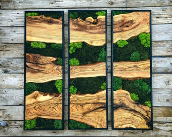Moss Wall Art Set
