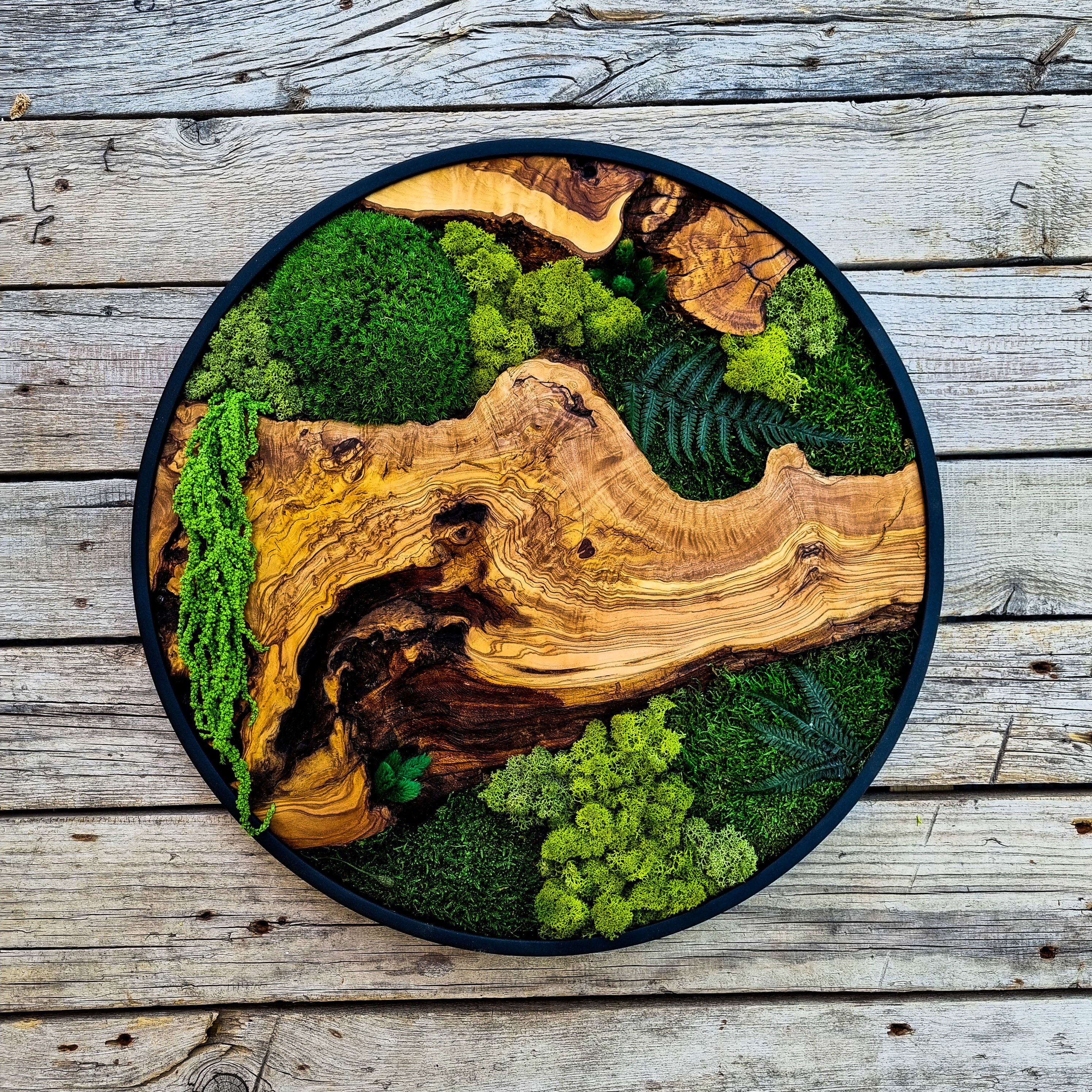 Moss Wall Art. Round Moss Frame. Planted Wall. Preserved Moss 