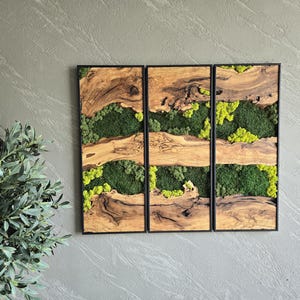 Moss Wall Decor | Olive Wood & Moss Wall Art | Unique Botanical Home Decor | Green Wall Art for Living Room
