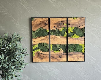 Olivenholz & konserviertes Moos Wandkunst: Botanisches Wohndekor