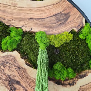 May include: Circular wooden wall art featuring a natural wood grain pattern and a black frame. The artwork incorporates various shades of green moss and a cascading, light green plant, creating a textured, natural aesthetic.