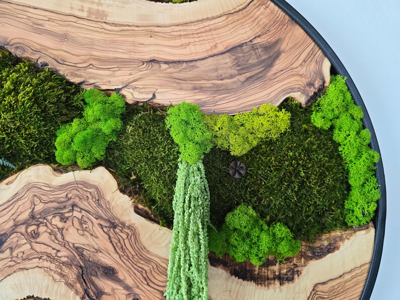 May include: Circular wooden wall art featuring a natural wood grain pattern and a black frame. The artwork incorporates various shades of green moss and a cascading, light green plant, creating a textured, natural aesthetic.