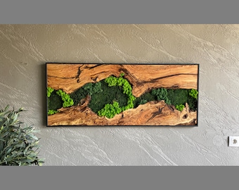 Moss and Wood Wall Art, Natural Wood & Moss Wall Decor for Home, Rustic Greenery Decor