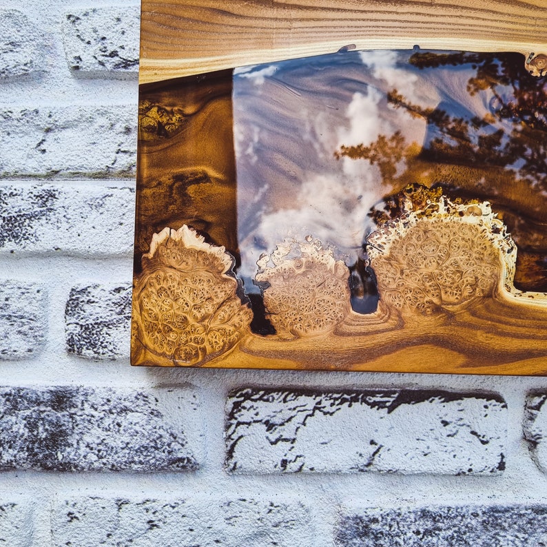 Handmade Epoxy Resin Wood Wall Decor, Silverberry Burl, Boho Wall Art ...
