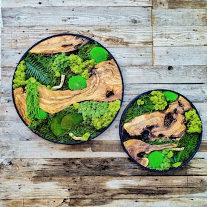 Custom Made Moss & Wood Wall-Custom Wall Decor, Moss Wall Art, Botanical Wall Art, Wall Decoration, Unique Wall Decor, Living Room Decor