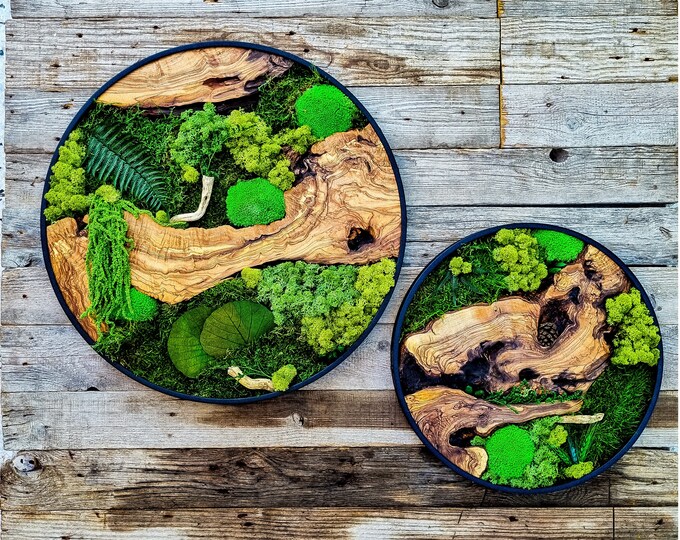 Custom Made Moss & Wood Wall-Custom Wall Decor, Moss Wall Art, Botanical Wall Art, Wall Decoration, Unique Wall Decor, Living Room Decor