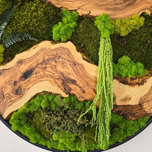 May include: Circular wall art featuring a natural design. The artwork combines various shades of green moss, a fern, and wood slices with a black frame. The design includes a hanging green plant.