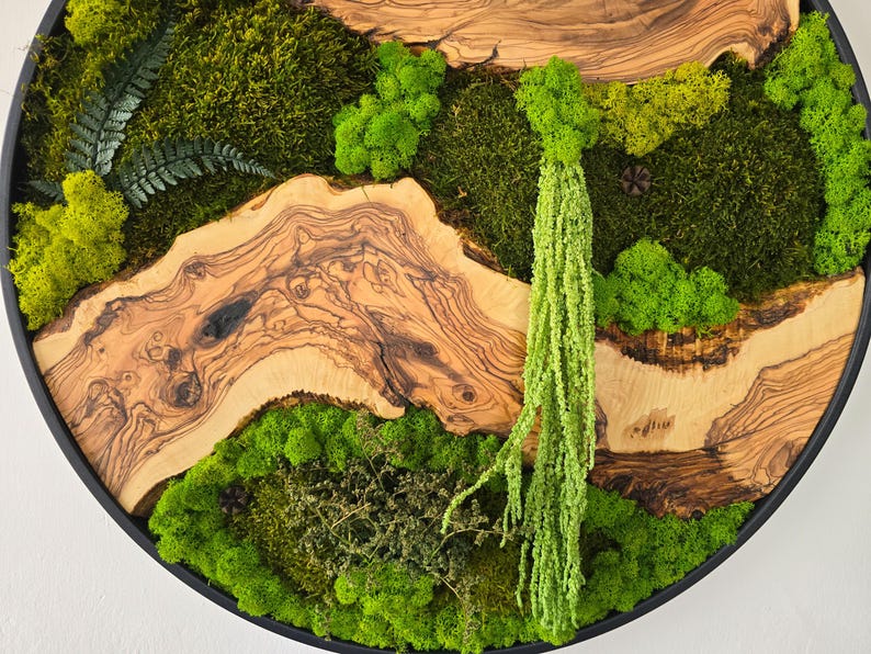 May include: Circular wall art featuring a natural design. The artwork combines various shades of green moss, a fern, and wood slices with a black frame. The design includes a hanging green plant.