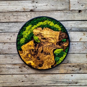 May include: A round wall art piece featuring a circular piece of wood with a natural wood grain pattern and green moss accents. The wood is dark brown with light brown streaks and the moss is a vibrant green.