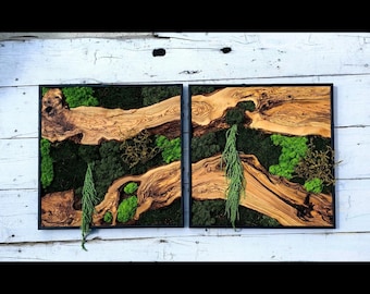 Moss & Wood Wall Art, Custom Made Moss and Olive Wood Wall Art, Unique Handmade Wall Hanging, Eco-Friendly Interior Accent