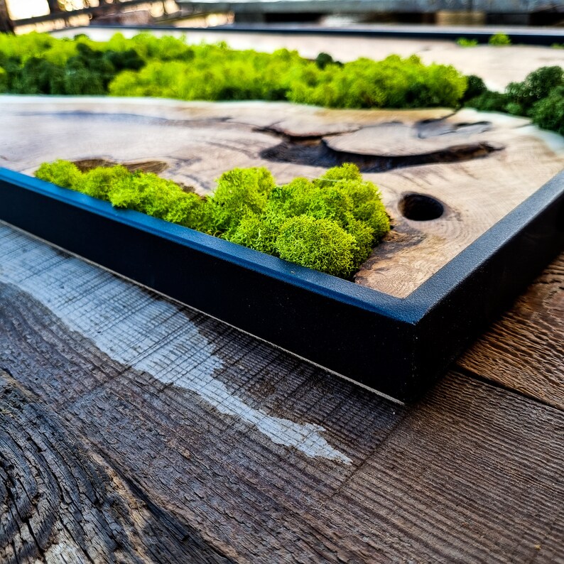 Wood and Moss Home Decor Moss Wall Art Moss Wall Decor Etsy