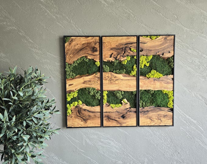 Moss Decoration Wall Art with Olive Wood & Metal Frame, Custom Stabilized Moss Decor for Rustic Home  Office Wall Hanging