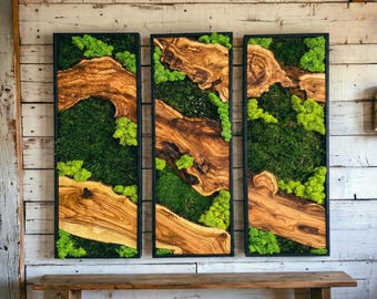 Moss Wall Decor, Moss Wall Art, Wood & Preserved Moss