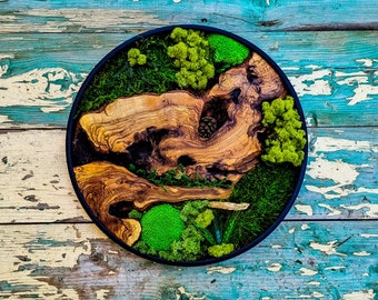 Round Olive Wood & Preserved Moss Wall Art - 18&quot; Botanical Decor