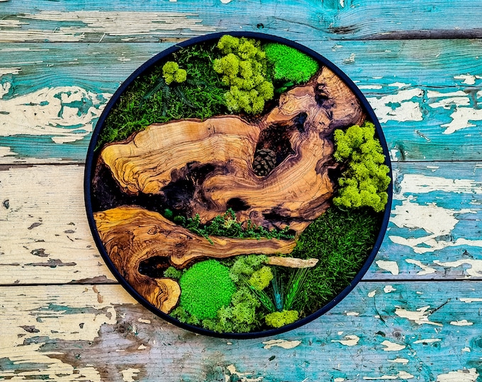 Round Wood Design with Metal Frame - Botanical Wall Art for Living Room, New home, Preserved Moss, Framed Wall Art, Wood Decor, Christmas