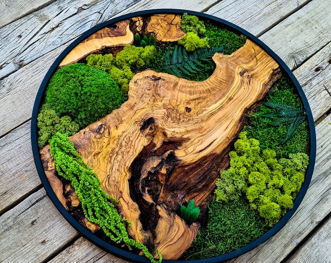 Handmade Olive Wood & Preserved Moss Wall Art – Round Green Decor
