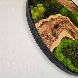 May include: Circular wall art featuring a natural landscape design. The artwork combines a wooden base with a black frame, and includes preserved moss and wood elements. The color palette includes shades of green and brown.