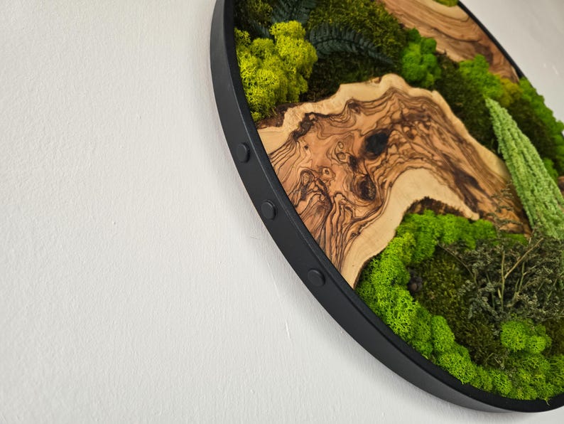 May include: Circular wall art featuring a natural landscape design. The artwork combines a wooden base with a black frame, and includes preserved moss and wood elements. The color palette includes shades of green and brown.