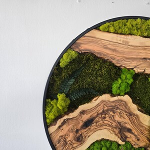 May include: Circular wall art featuring a natural landscape design. The artwork combines wood, green moss, and ferns within a black frame. The wood has a light brown color with dark brown streaks. The moss and ferns are various shades of green.