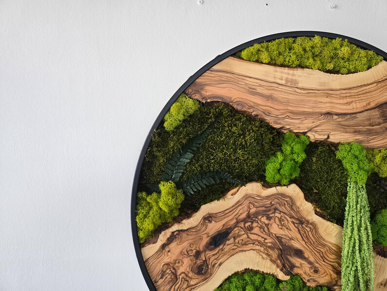 May include: Circular wall art featuring a natural landscape design. The artwork combines wood, green moss, and ferns within a black frame. The wood has a light brown color with dark brown streaks. The moss and ferns are various shades of green.