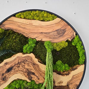 May include: Circular wall art featuring a natural landscape design. The artwork combines light brown wood with green moss and a black frame. The design includes a variety of textures and shades of green.
