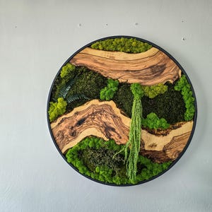 May include: Round wall art featuring a natural landscape design. The artwork combines wood and moss, with a black frame. The wood has a light brown color with dark brown grain patterns. The moss is various shades of green.