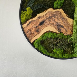 May include: Circular wall art featuring a natural wood slice with intricate grain patterns, surrounded by vibrant green moss and foliage. The artwork is set within a black frame, creating a striking contrast against the white wall.