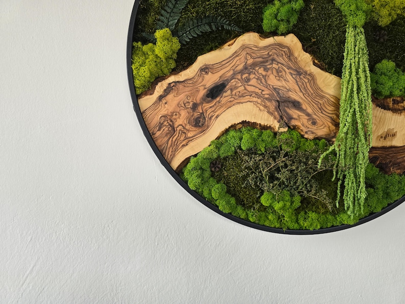 May include: Circular wall art featuring a natural wood slice with intricate grain patterns, surrounded by vibrant green moss and foliage. The artwork is set within a black frame, creating a striking contrast against the white wall.