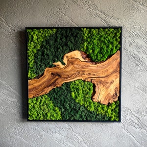Moss and Olive Wood Wall Decor, Moss Wall Art