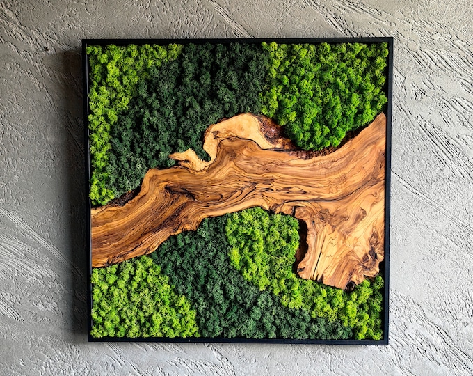 Moss and Olive Wood Wall Decor, Moss Wall Art