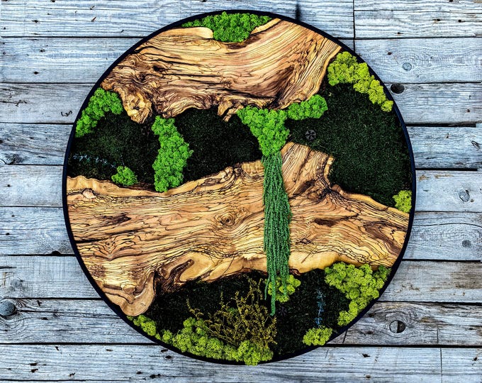 Custom Made Moss and Olive Wood Wall Art, Metal Frame Moss Wall Decor, Olive Wood and Moss Wall Art- Preserved Stabilized Moss Wall Decor