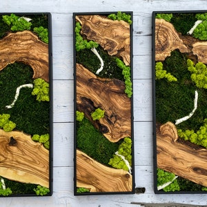 Moss Wall Decor, Moss Wall Art, Wood & Preserved Moss