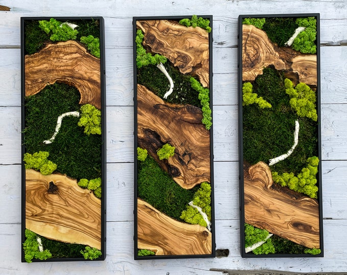 Moss Wall Decor, Moss Wall Art, Wood & Preserved Moss